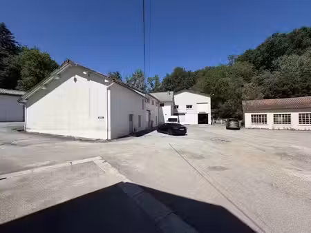 vente locaux professionnels 706 m² à limoges (87000)  432 000 €
