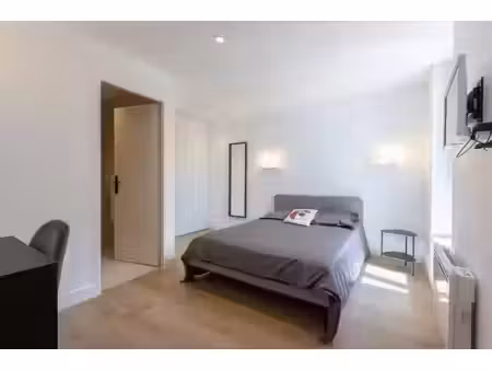 location appartement 1 pièce 16 m² à lyon 7 (69007)