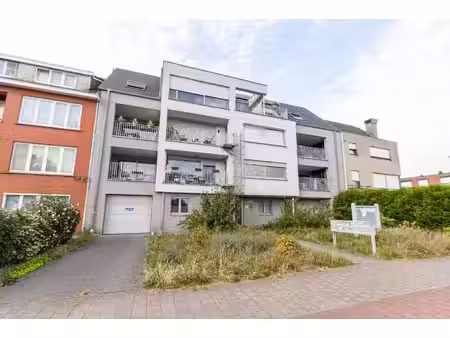 appartement te huur in wijnegem