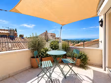 charmante maison de village avec terrasses et vue sur le ventoux