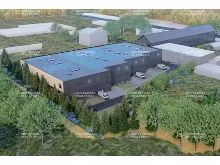vente local d’activités brie-comte-robert 77170 228m² à 2449m²