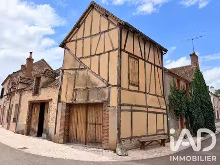 vente maison 2 pièces 48 m² châtillon-coligny (45230)