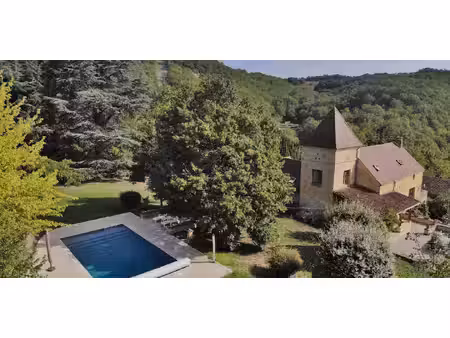 propriété avec piscine carlux (24)