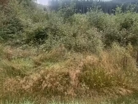 terrain 930m² à trois ponts  proche route