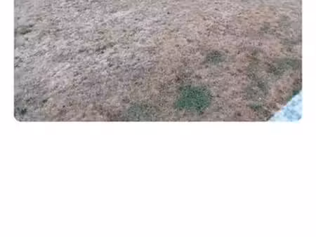 terrain a construire