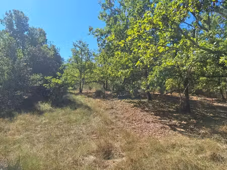 terrain constructible neuf à vendre
