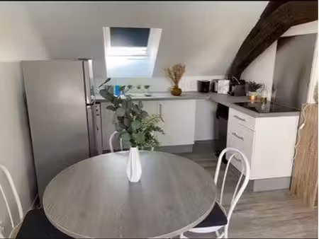 f3 meublé 40 m² – la chapelle-saint-mesmin