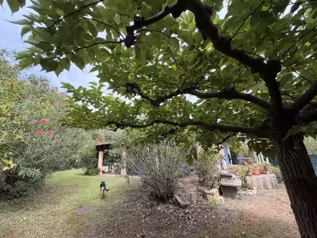 maison de luxe à vendre à ramatuelle
