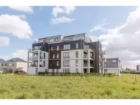 appartement à louer à esdoornlaan 4 wetteren (rbw91320)