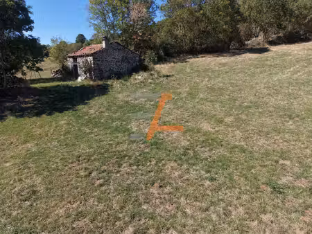 bergerie à rénover avec 4 500 m2 de terrain montusclat