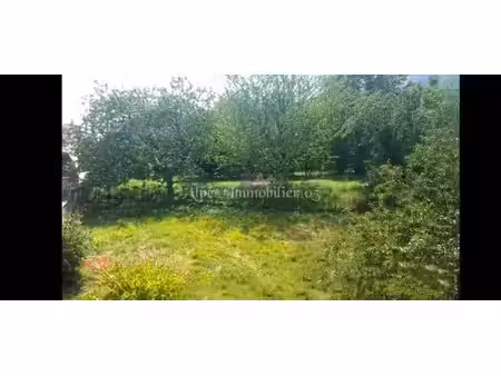 terrain
