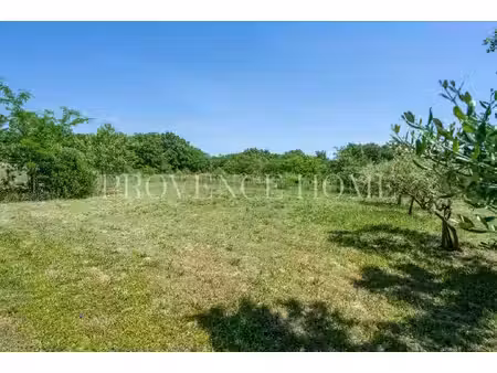 terrain constructible