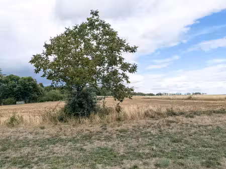 terrain à vendre à pressignac (16150) - charente