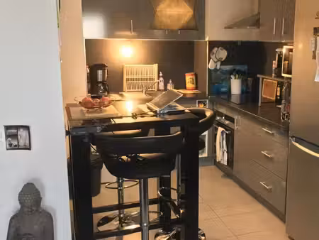 appartement meublé t2 avec terrasse 32 m2 et 1 parking ext