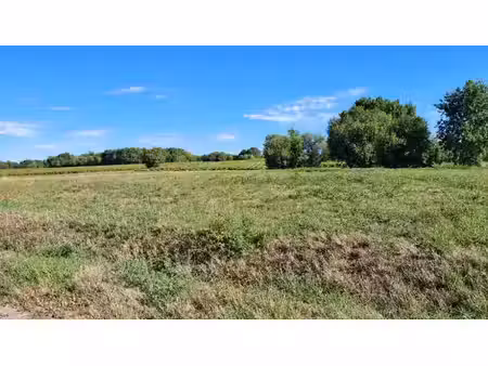 vente terrain 2972 m² à montendre (17130)  49 700 €