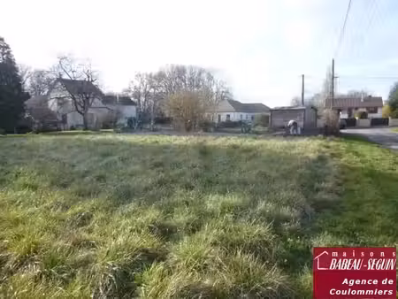 vente terrain 1000 m² à bellot (77510)  55 000 €