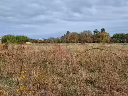 vente terrain 824 m² à foussignac (16200)  62 000 €
