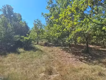 vente terrain 412 m² à valensole (04210)  78 000 €