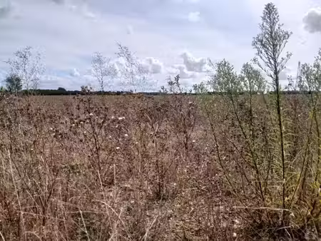 vente terrain 385 m² à frénouville (14630)  79 900 €