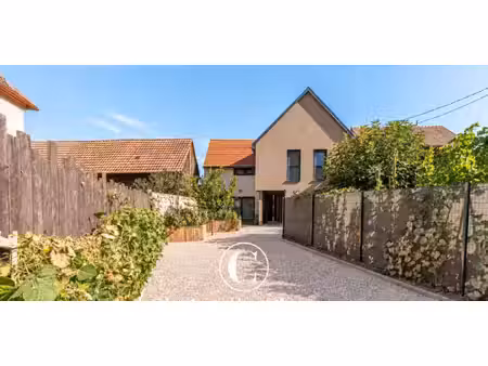 maison contemporaine avec jardin et terrasse huttenheim (67)