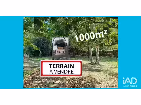 vente terrain 1000 m² à bouin (85230)  90 000 €