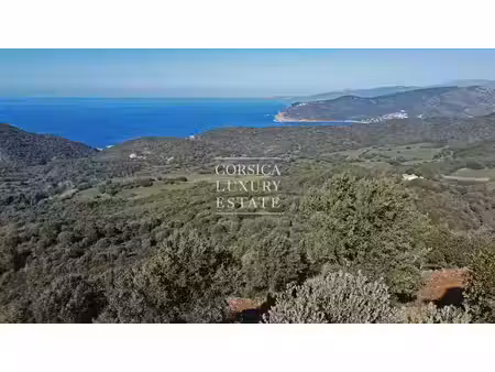 vente terrain 11000 m² à ajaccio (20000)  750 000 €