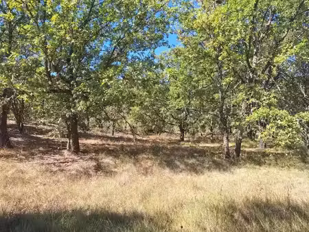 vente terrain 468 m² à valensole (04210)  85 000 €