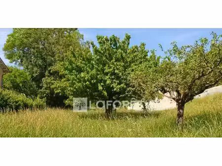 vente terrain 612 m² à morancé (69480)  182 000 €