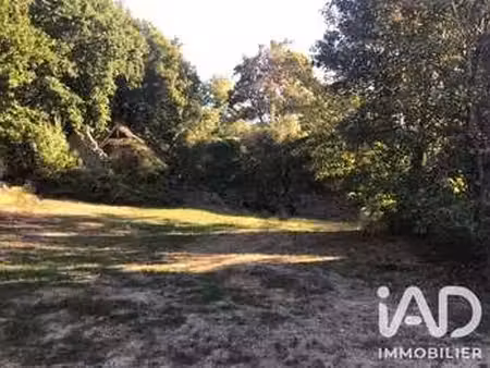 vente terrain à bléré (37150) : à vendre / 1783m² bléré