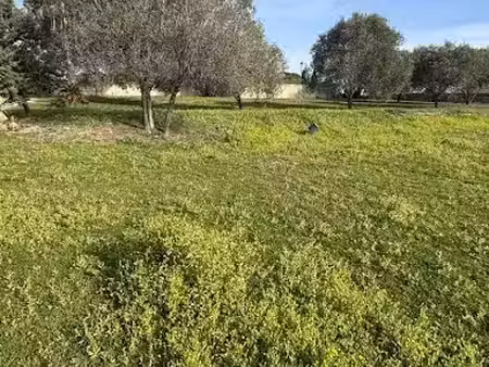 vente terrain 631 m² à roquebrune-sur-argens (83520)  279 000 €