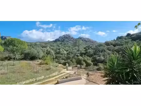 location appartement 3 pièces 85 m² à sotta (20146)  980 €