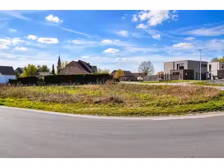 vente - terrain constructible lummen - 155 000 €