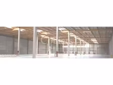 local logistique 6 393 m²
