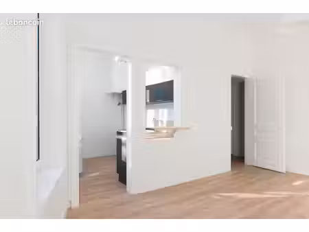 bel appartement lumineux t3