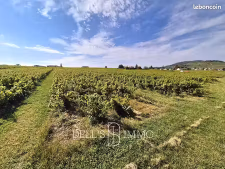 terrain 4 m² cercié