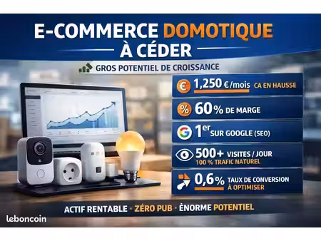 site ecommerce domotique