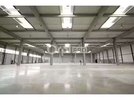 local d'activité 9 623 m²