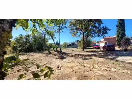 terrain