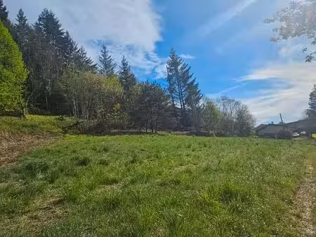 terrain à construire