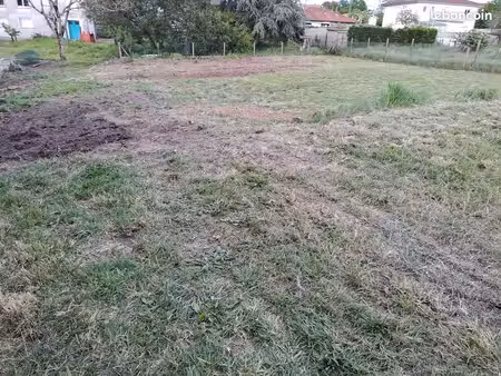 terrain constructible