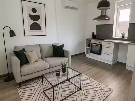 a louer appartement avec climatisation- 450 hc