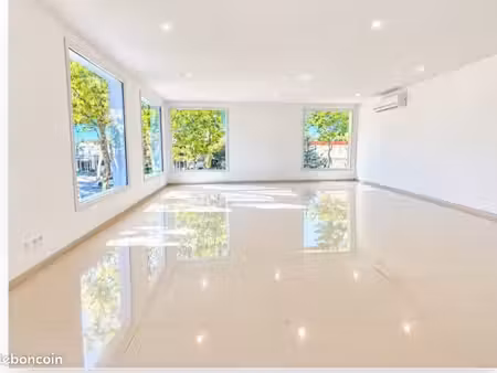 local commercial /professionnel