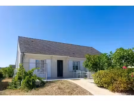 maison à vendre 6 pièces saint denis de l'hotel (45)