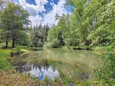 splendide parcelle boisée avec étangs