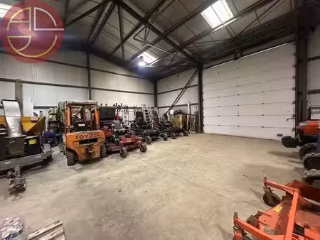 vente entrepôt saint-jory 31790 300m²