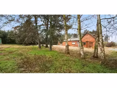terrain à bâtir à vendre à bekkevoort pour € 155.000