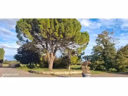terrain constructible