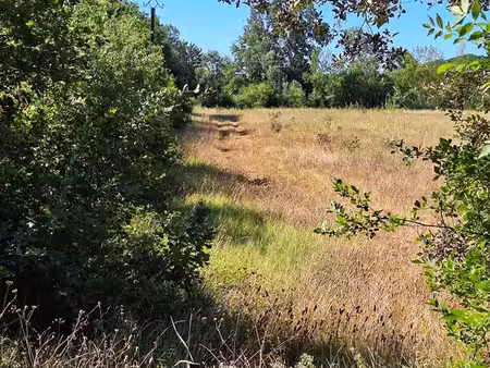 terrain agricole