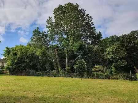 terrain viabilisé plat 600 m2