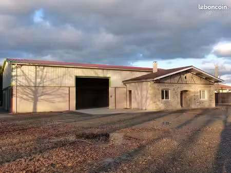 local commercial